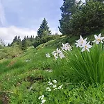 Apartma Kiara & Jesenice