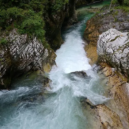 Kiara & * Jesenice