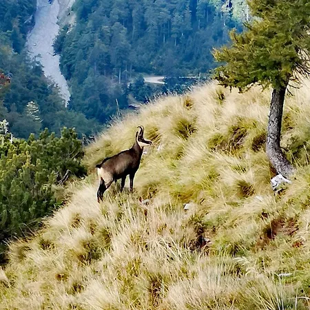 Kiara & Apartmán Jesenice