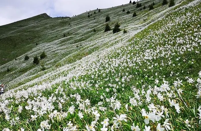 Appartement Kiara Apartments&rooms *