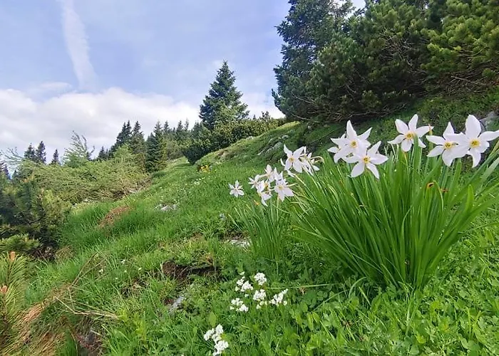 شقة Kiara & جيسينيس