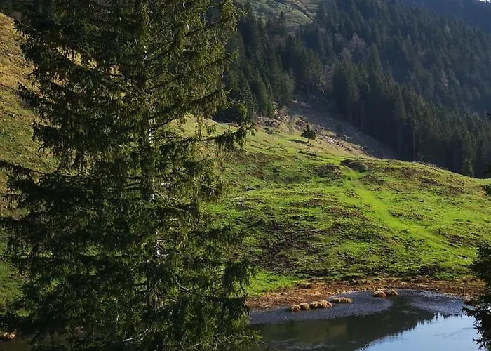 Kiara Apartments&rooms Appartement